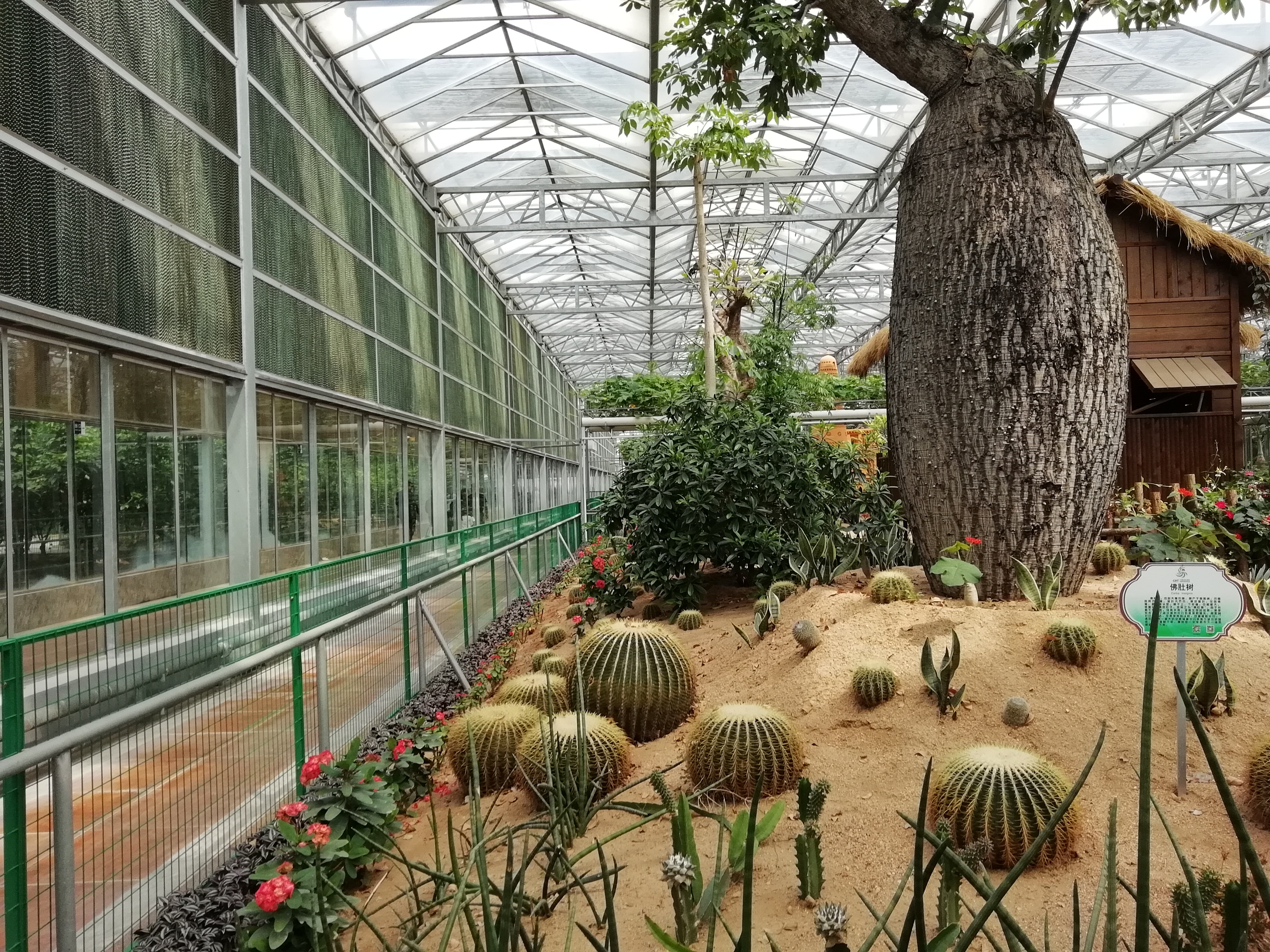 包含通辽台直播钱家店镇大棚项目的词条