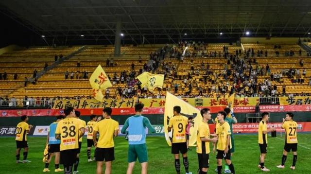 包含重庆球员庆祝冲超成功重庆足球重返中超的词条  第2张