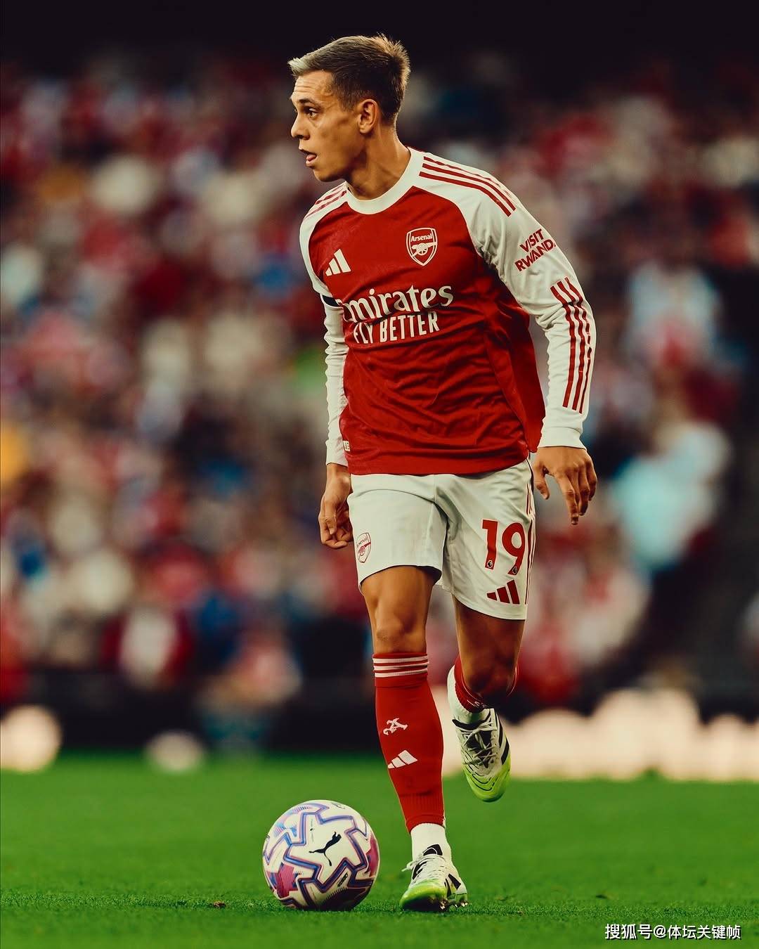 包含曝特罗萨德可以出战曼联新赛季来临前复出的词条  第1张