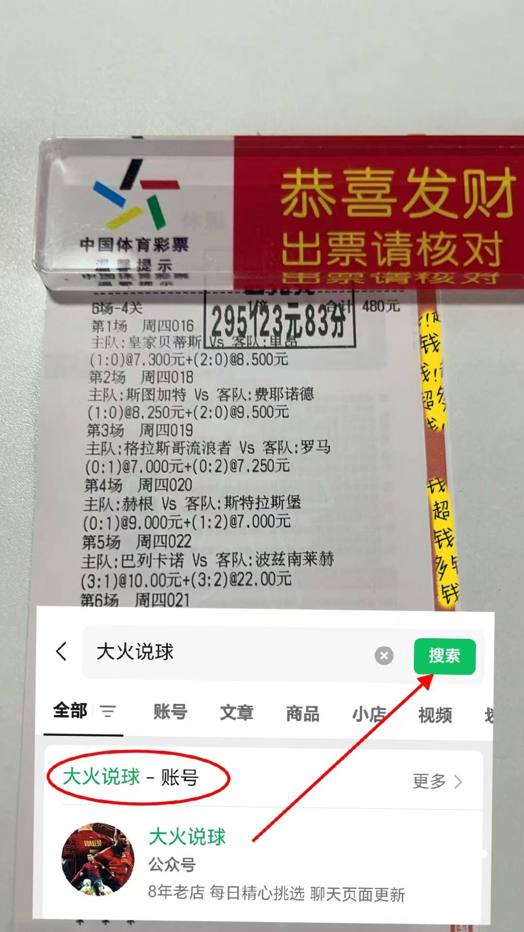 世预赛爱尔兰2-2匈牙利两队各获一分  第2张