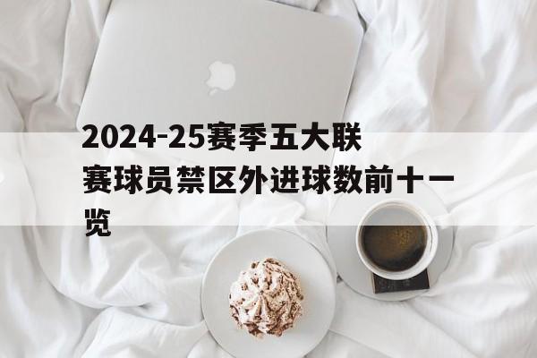 2024-25赛季五大联赛球员禁区外进球数前十一览的简单介绍
