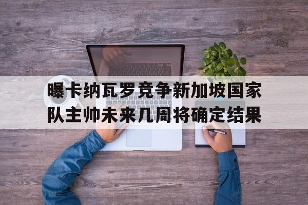 曝卡纳瓦罗竞争新加坡国家队主帅未来几周将确定结果的简单介绍 第1张 曝卡纳瓦罗竞争新加坡国家队主帅未来几周将确定结果的简单介绍 第1张